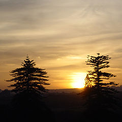 фото "Sunset"