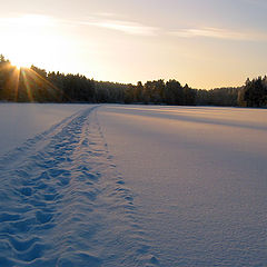 photo "Path to winter rising"