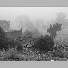 photo "Ghost town of Potamia"