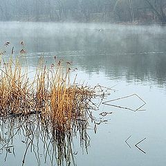 фото "Желтое на фоне воды"