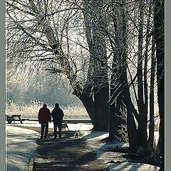 photo "Frost on Sunday"