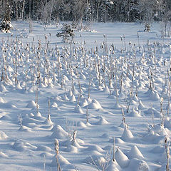 фото "Igloo City:)))"