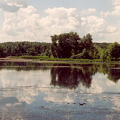 photo "Life of an imperial pond"