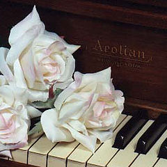 фото "Keys and Roses 01"