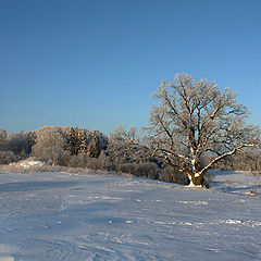 photo "Under the blue sky..."