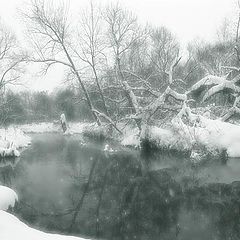 photo "The termination of a snowfall on the small river."