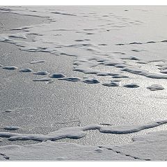 photo "Frozen Lake"