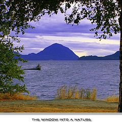 photo "The window into a Nature"