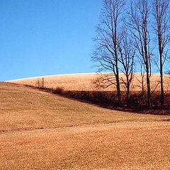 фото "Carolina Country"