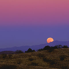 фото "Santa Rita Moonrise - Arizona"