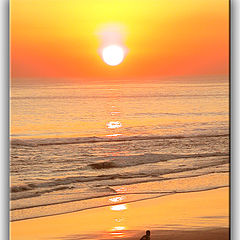 photo "Sunset runner"