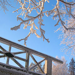 photo "The frost - artist"