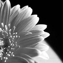 фото "sandra_3"
