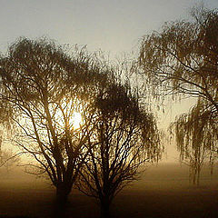 photo "November Morning"