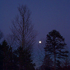 photo "Blue Moods Moon"
