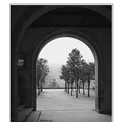 photo "The Court of the Orange-Trees"