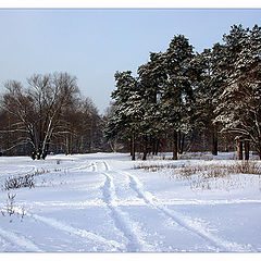 photo "Track"