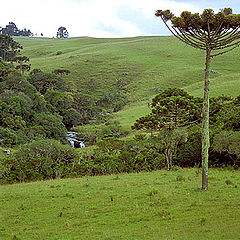 photo "Farm of Venancios"