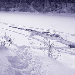 photo "river coast"