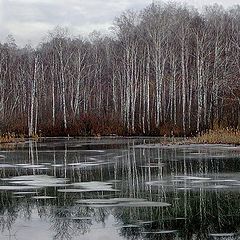 photo "The first ice"