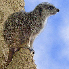 photo "Sitting on the edge of the Earth"