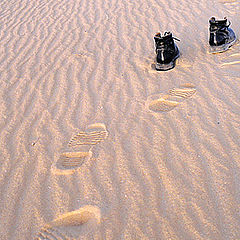 фото "Follow the invisible..."