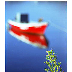 фото "Red boat"