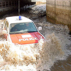 photo "Water patrol."