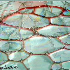 фото "Shoap Bubbles"