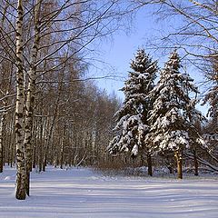 фото "Зимний этюд"