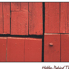 фото "Hidden Behind The Door"