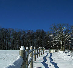 фото "Winter Scene"