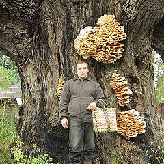 photo "September is the mushroom month"