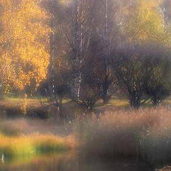 photo "Birches, the reed and is a little water"