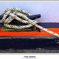 photo "The rope"