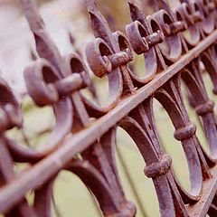photo "fence"