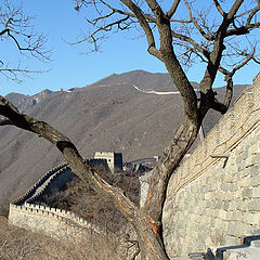 photo "Great Wall - Mutianyu"