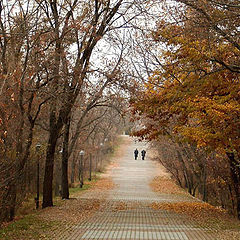 photo "autumn mood..."