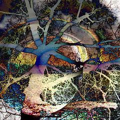 фото "Inside my mind: The Trees"