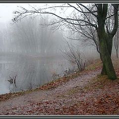 photo "Foggy morning"