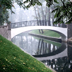 photo "Fog #2"