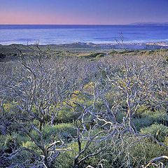 фото "Montana de Oro"