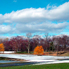 photo "Four Seasons"