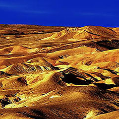 photo "NEGEV"