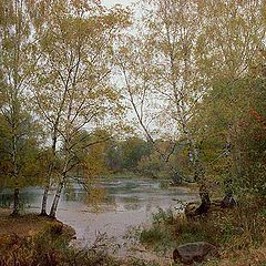 photo "Autumn rain."