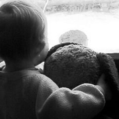 photo "snow day"