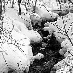 photo "Mountain Stream in Winter"