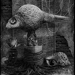 photo "Still Life 5_2003"