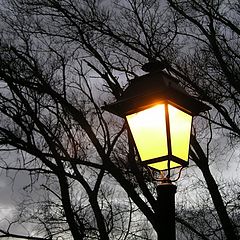 фото "North Wind"
