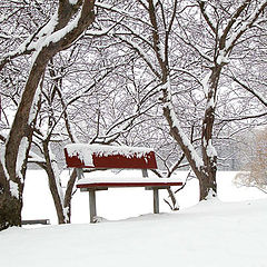 фото "Park Bench"